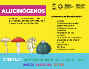 Drogas y su clasificación 4