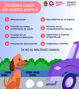 Posibles casos de Maltrato Animal