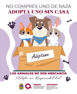 NO COMPRES ADOPTA-MALTRATO ANIMAL_Mesa de trabajo 1