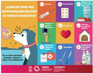 RESPONSABILIDADES SI TENGO MASCOTA_Mesa de trabajo 1