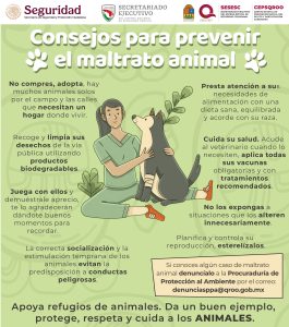7.1 Consejos para Prevenir el Maltrato Animal-01