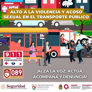 TransportePublico1_1