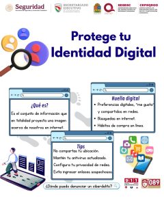 imagen1