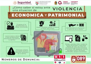 violencia economica - patrimonial